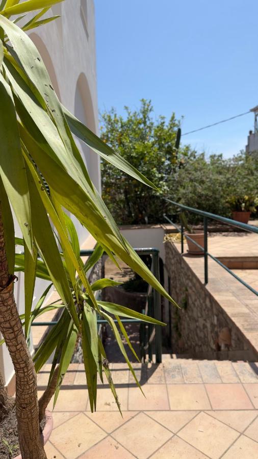 Villa La Zagara By Caprirooms Exterior foto